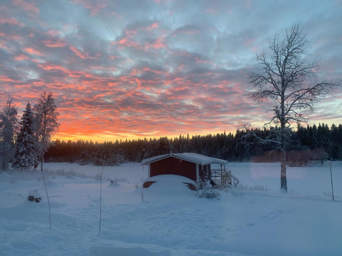 Luxus Tiny House Saagala Villa Tornio Buitenkant foto